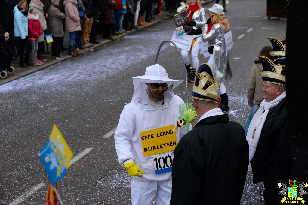 ../Images/Grote optocht 2017 100.jpg